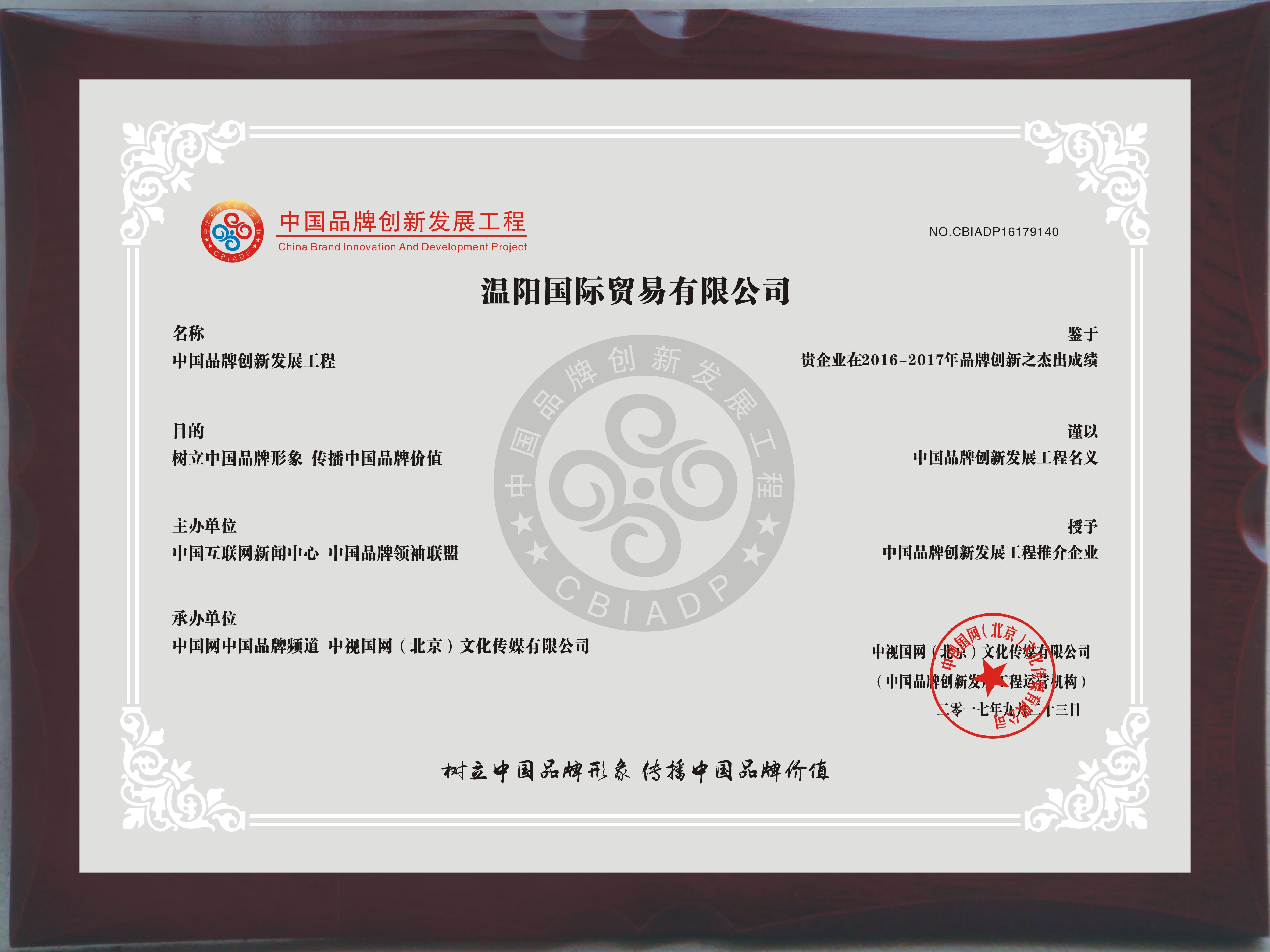 中国品牌创新发展工程