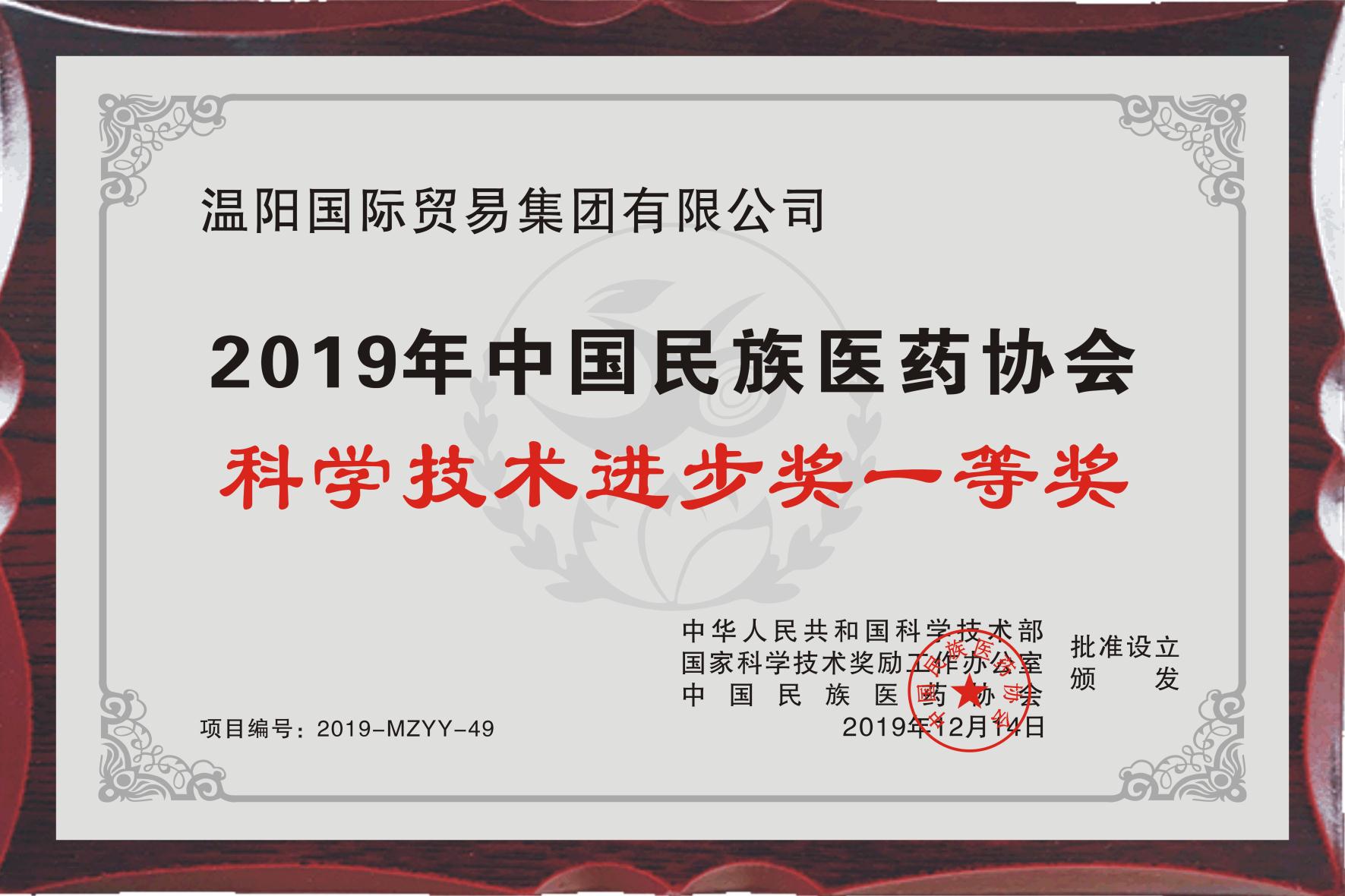 中国民族医药协会科学技术进步奖一等奖